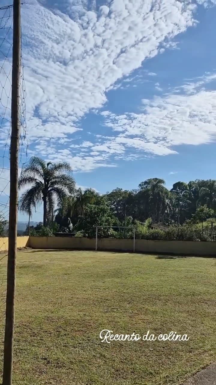 Campo de futebol gramado cercado de palmeiras
