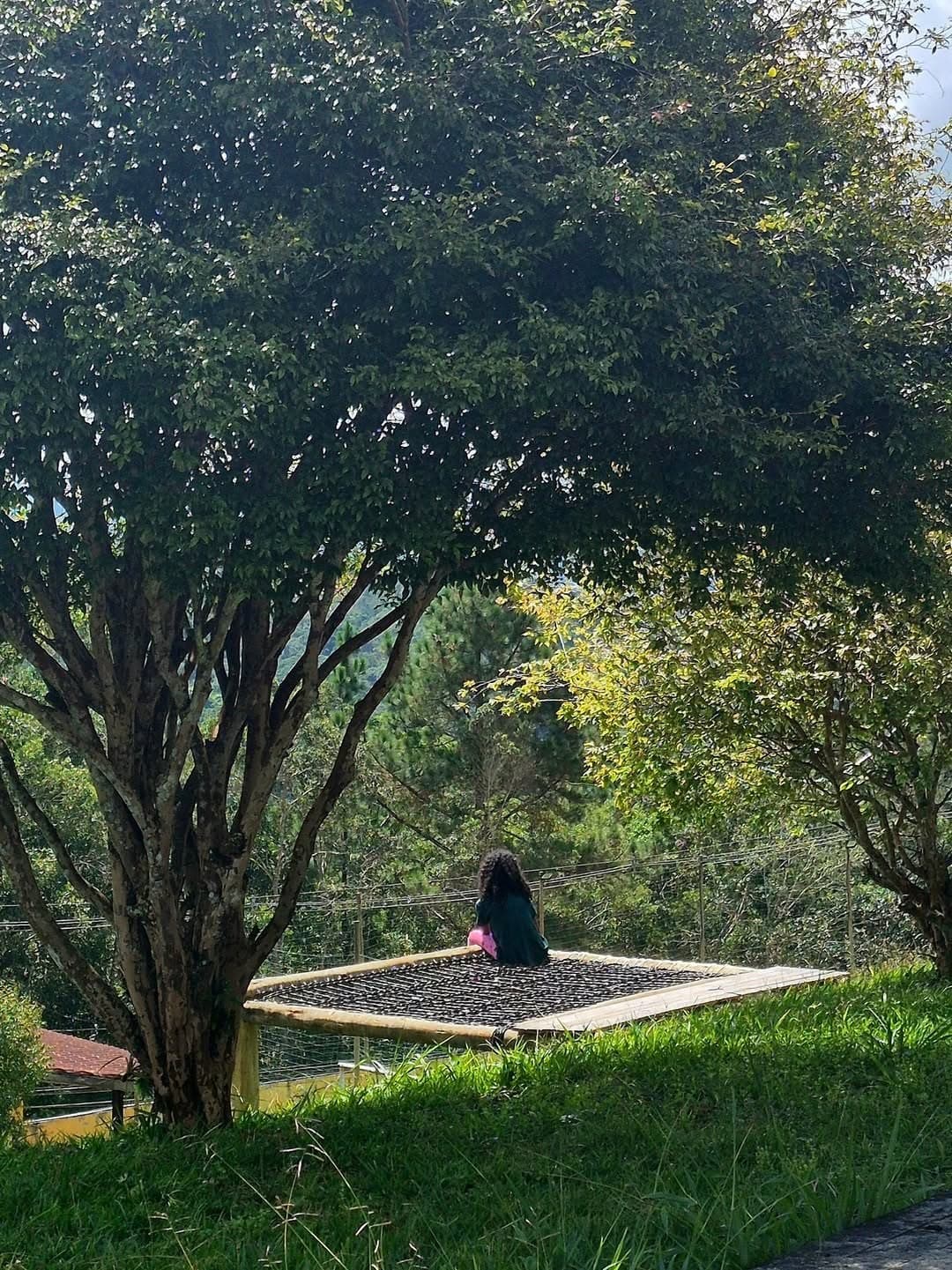 Hóspede sentada na rede de descanso sob a árvore, contemplando a natureza