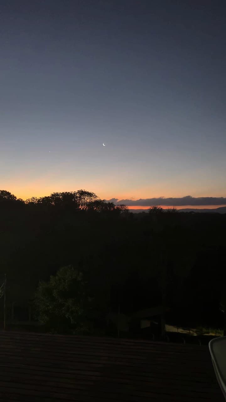 A lua crescente sobre a lavanda do jardim, no começo da noite